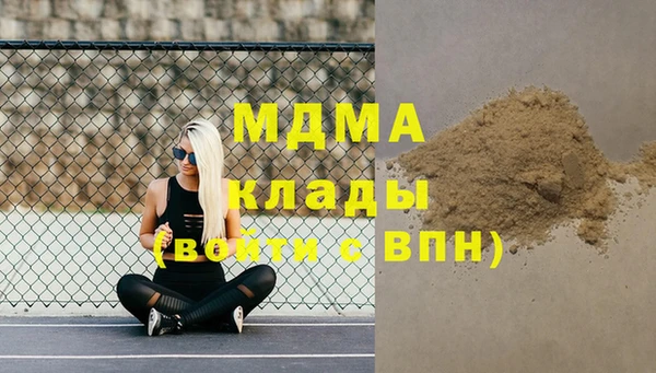 прущие грибы Аркадак