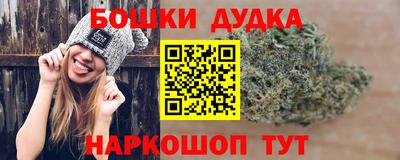 твердый Бийск