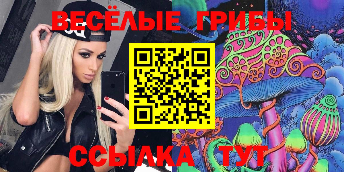 Галлюциногенные грибы MAGIC MUSHROOMS  Вход с VPN  Псилоцибиновые грибы мицелий  Горячий Ключ 