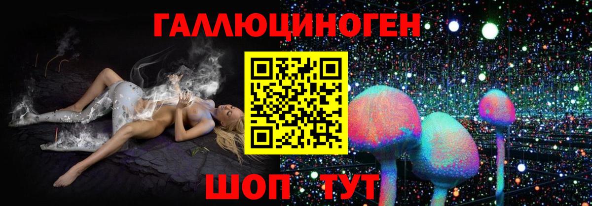 Псилоцибиновые грибы ЛСД Горячий Ключ