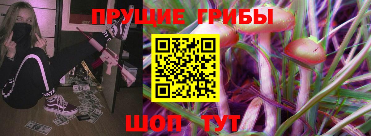 Галлюциногенные грибы Cubensis Горячий Ключ